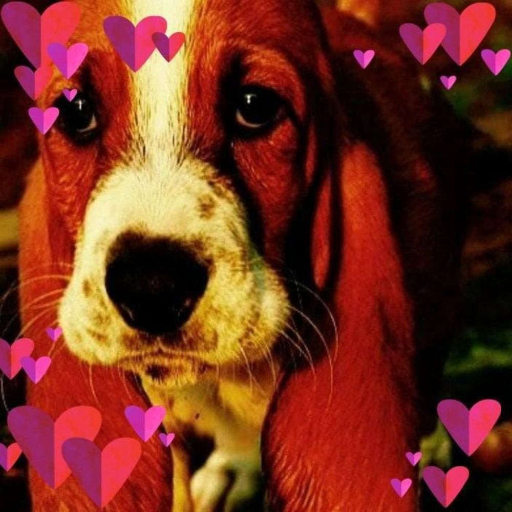 Meet your Posher, Loralye